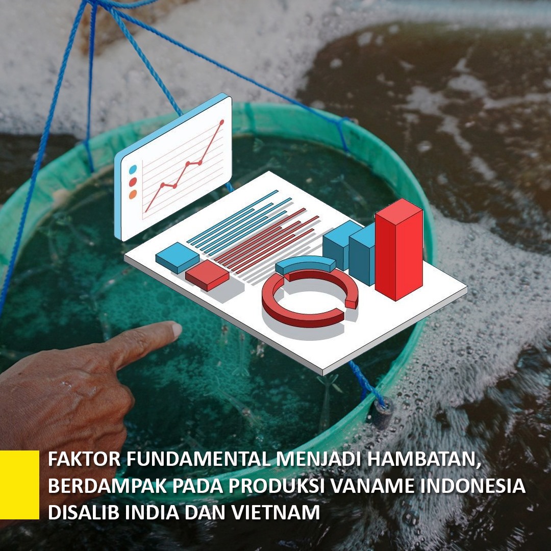 Faktor Fundamental Menjadi Hambatan Berdampak Pada Produksi Vaname ...